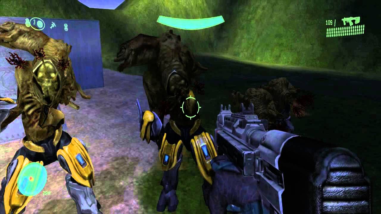 Halo CE - Flood Buds - YouTube