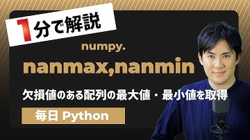 【毎日Python】Pythonで欠損値のある配列の最大値・最小値を取得する方法｜numpy.nanmax,nanmin