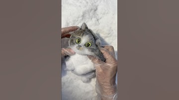 Cats have the secret to instantly cheer you up.#squishy #diy #cat #handmade #cute  #art #kitty