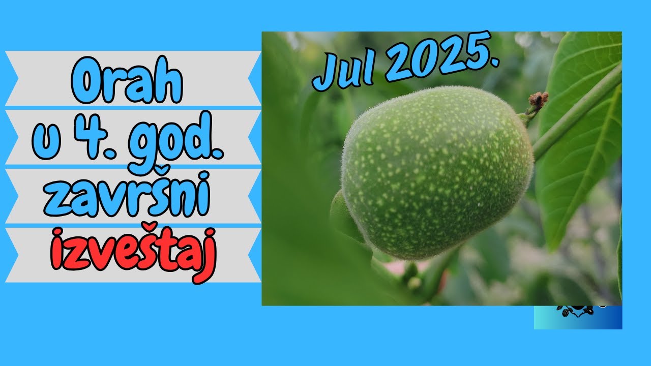 Izveštaj iz zasada u 4. godini jul #SeoskiMrgud