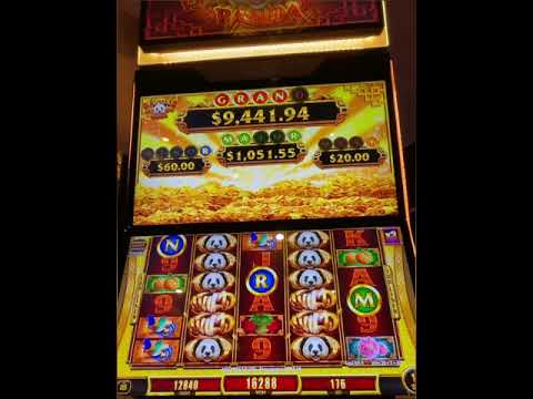 Free casino games slot Features Video