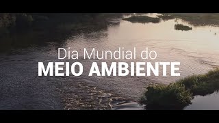 Dia Mundial Do Meio Ambiente 2022