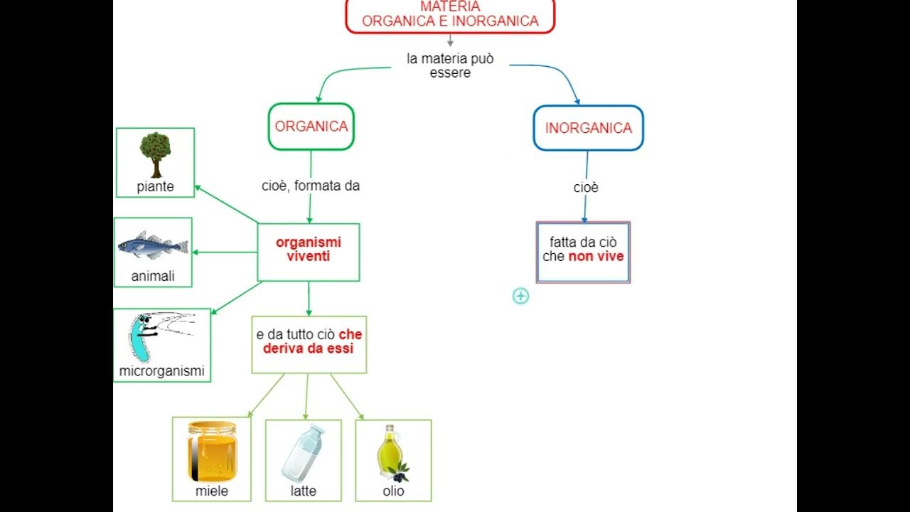 videomappa scienze 4 materia organica e YouTube