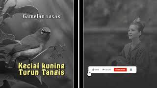 kecial kuning turun tangis(Lirik) gamelan sasak