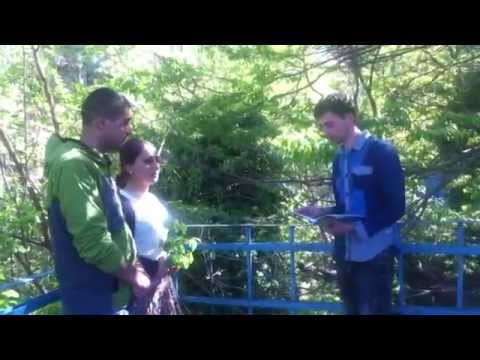 გადაწყვეტილების მიღება