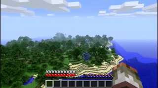 Seed Spotlight: punchwood.com with Various Mods! Guide