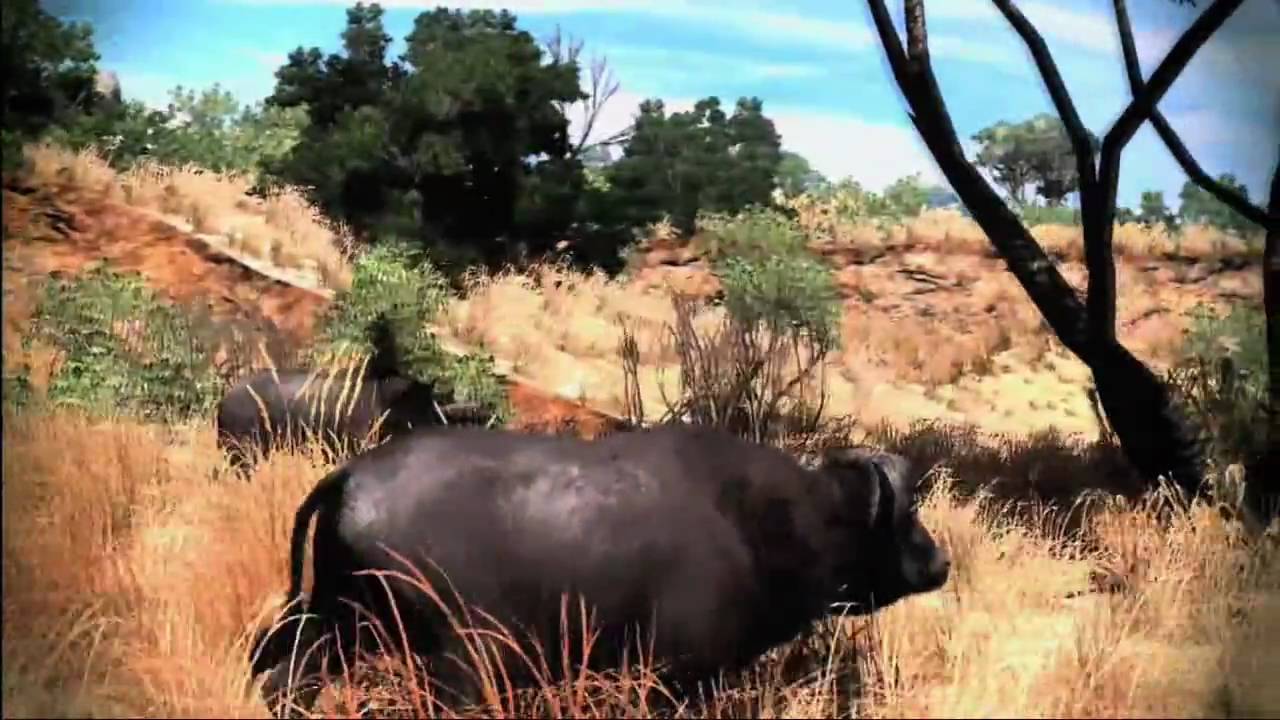 Cabela's Big Game Hunter 2010 Wii Trailer (HD) - YouTube