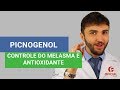Picnogenol  controle do melasma na pele e antioxidante  oficial farma