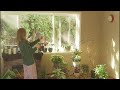 Creating my Home as a Haven for When I Need Relaxing / Organic GingerTea Recipe and Plant Care Tips