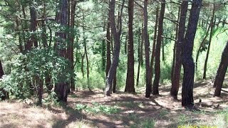 18+ Как узнать, изменяет ли муж. Признаки измены. 18+ Как узнать, изменяет ли муж. Признаки измены.
