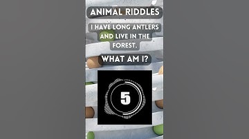Animal Riddles 13! Can You guess the Answer?