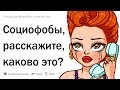 (Апвоут) Каково это, быть социофобом?