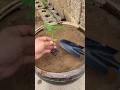 🌱 #agriculture #farmingtips #farming #tools #great #nintendo #gardeningtips #rogator #viral #foryou