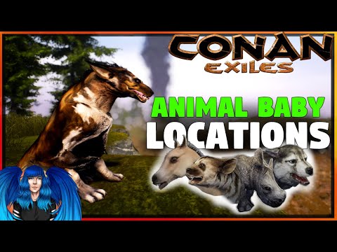 Video ANIMAL BABY LOCATIONS ON SIPTAH | Conan Exiles Isle Of... - youtube