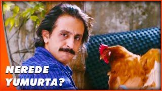 Selülit Korkusundan Yumurtlamayan Tavuk Moskovanın Şifresi Temel