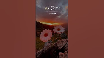 إن وعد الله حق عندما أبدع ياسر الدوسري تلاوة خاشعة وهادئة #اسلام #اكسبلور #رمضان_كريم #تلاوة_خاشعة