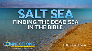 Salt Sea: Finding the Dead Sea in the Bible | BLP Connections