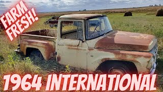 Abandoned Farm Truck! 1964 International Harvester C900 Shortbed Stepside Will it run?!?