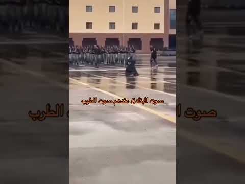 صوت البنادق عندهم صوت طرب