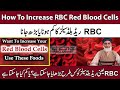  how to increase rbc red blood cells  rbc red blood cells barah jana ya kam ho jana