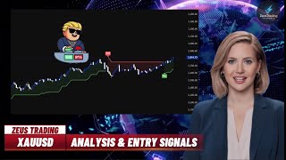 D Market In 100 Seconds What You Must Know Dec 08