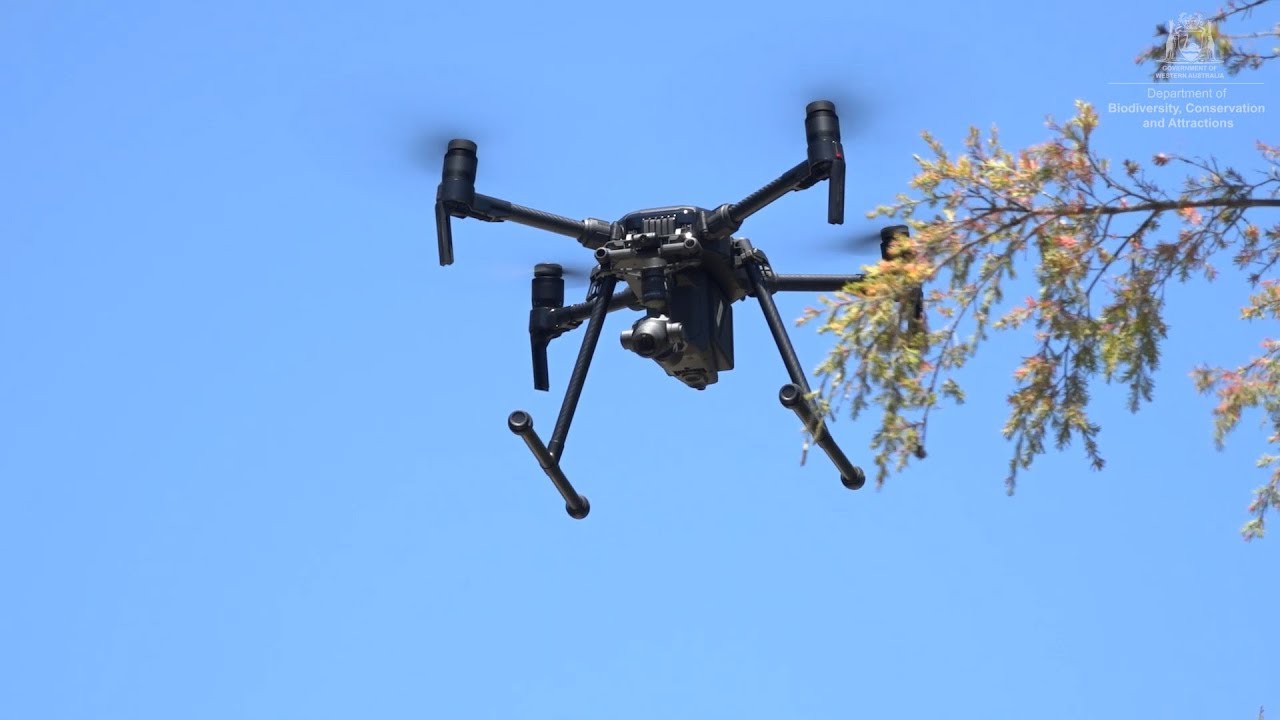 conservation definition Eyes in the sky