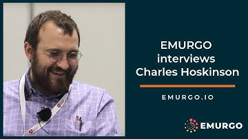 Charles Hoskinson interviewed by EMURGO 2019 - #10yearchallenge #sparkjoy