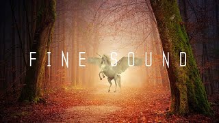 Road in the Forest - Andrewkn (No Copyright Music)