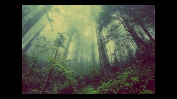 سورة الجمعة للمقرئ محمد رعد الكردي