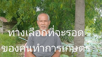 ทางเลือกที่จะรอดของคนทำการเกษตร