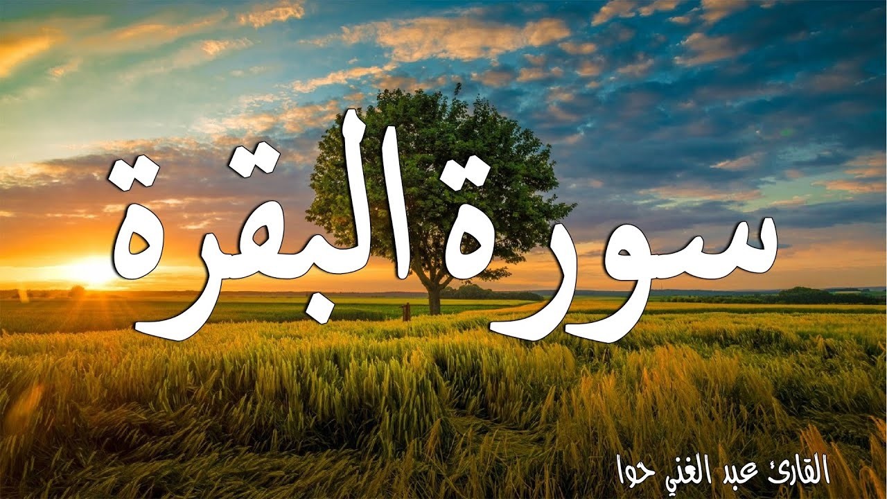 سورة البقرة طاردة الشياطين💚 بصوت هادئ ومريح جدا جدا 💚💤تلاوة هادئة للنوم والراحة النفسية 😴