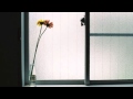 ryuichi sakamoto aubade