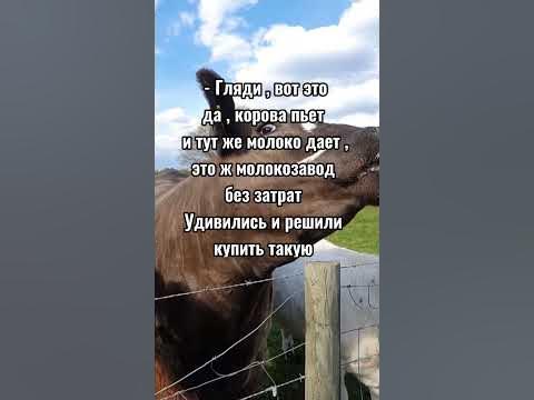 Юмор - YouTube