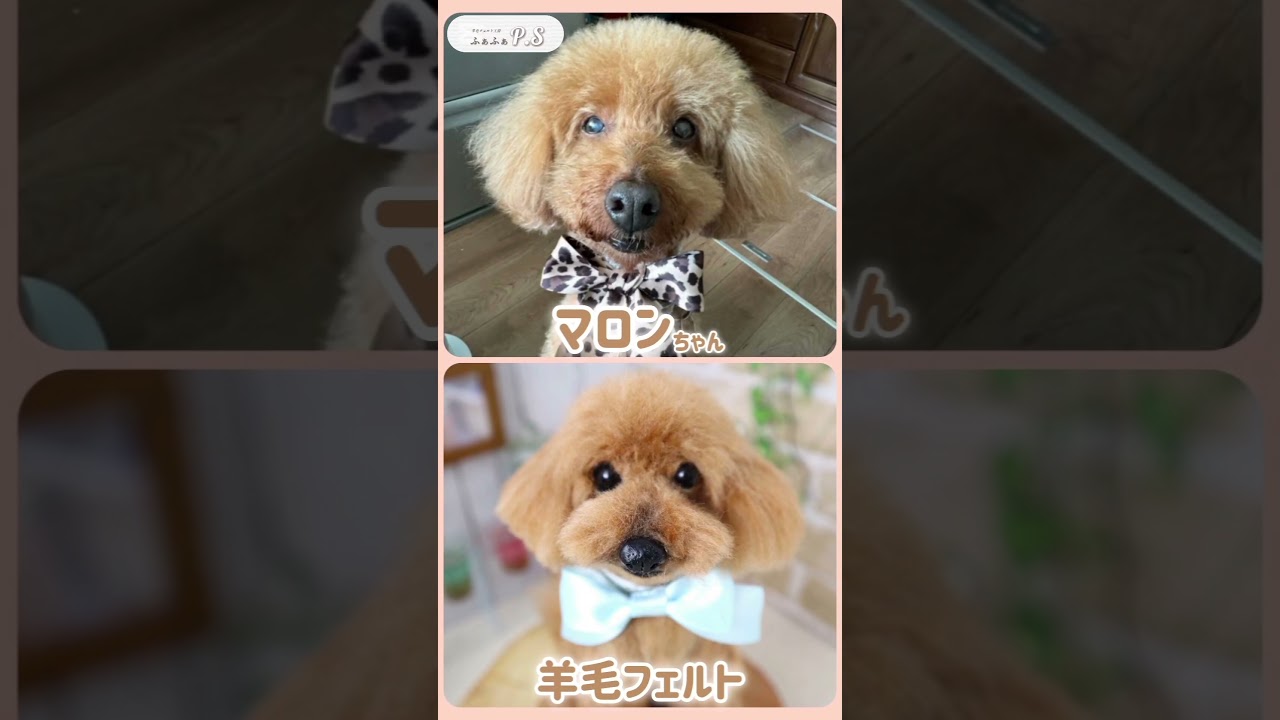 オーダーページ3/6パレード・トイプードル592 レアパネルハンドメイド