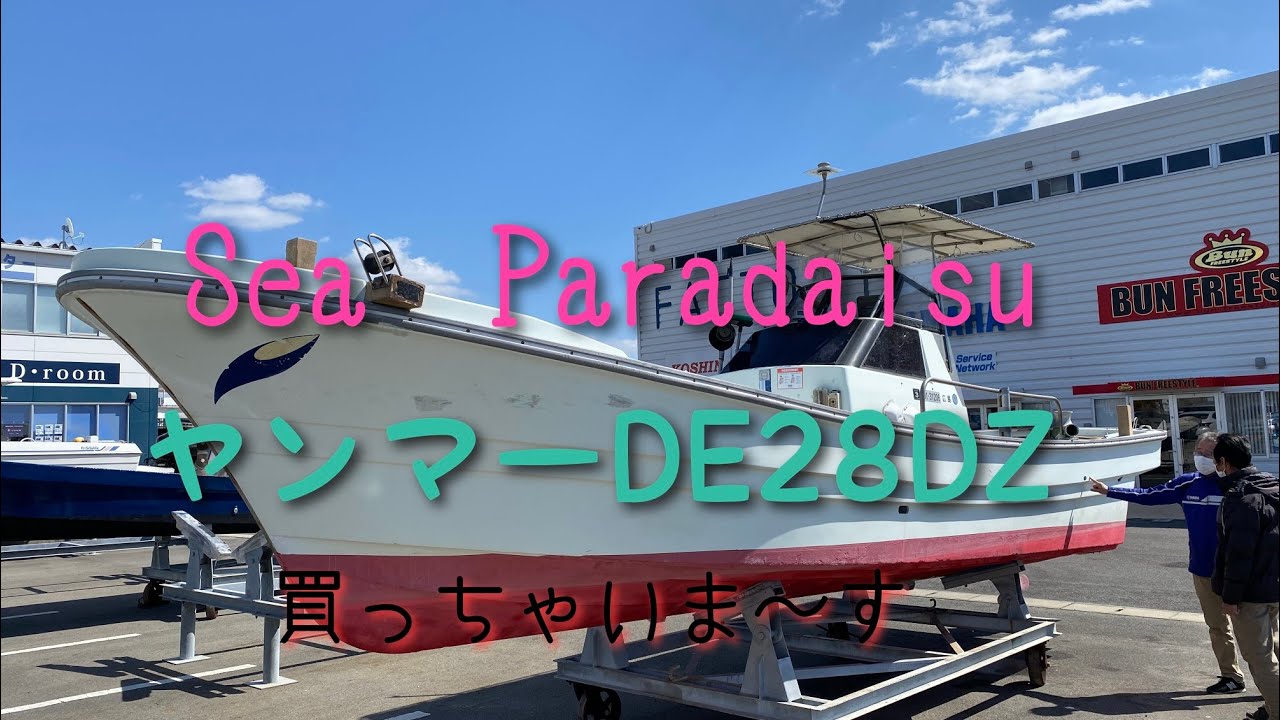 ヤンマーDE28DZ