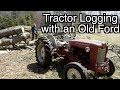 Tractor Logging a Giant Pine