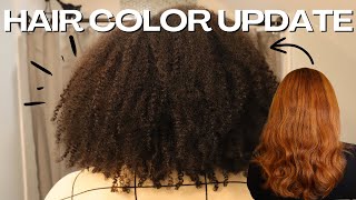 SHE&#39;S BACK!!!! Natural Hair Color Update, Style Maintenance, Morning &amp; Night Routine