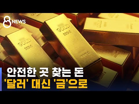 안전한 곳 찾는 돈 달러 대신 금 으로 SBS 8뉴스 