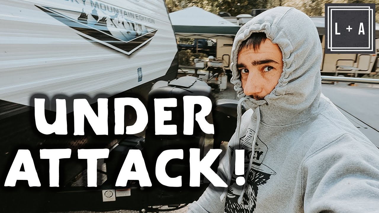 SWARMED While RV Traveling in BRITISH COLUMBIA! Back to Canada RV Vlogs🍁