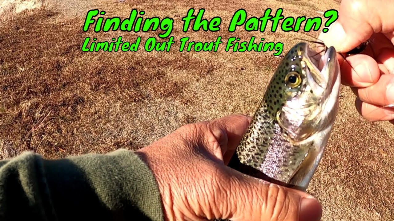 Texas Trout Stocking Limited Out After Finding the Pattern YouTube