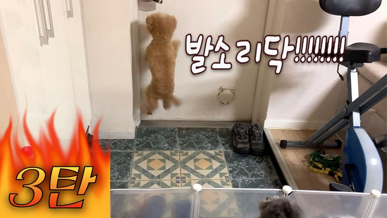 5일만에 현관에서 누나 발소리가 들렸다