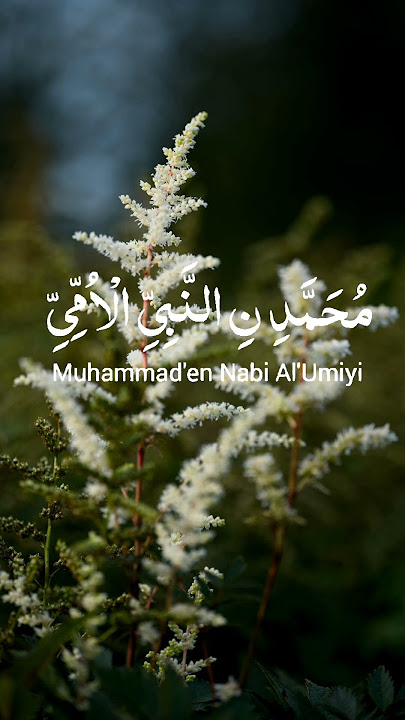 Alhamdulillah ✨.. #dailydzikir #alhamdulillah #amalan