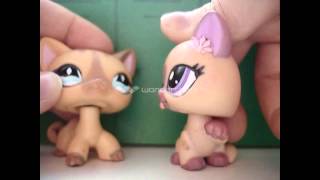 LPS:Большая перемена 2 сезон 1 серия LPS:Большая перемена 2 сезон 1 серия
