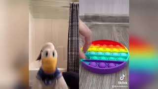 Donald Duck Reacts To Satisfying Tiktoks 7 Try Not To Laugh