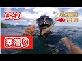琵琶湖岩礁地帯の昼間に潜ってみたら！魚たちの楽園やった！