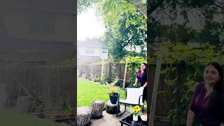 Backyard gardening in America #backyardgardening #orgenicfarming #homegarden