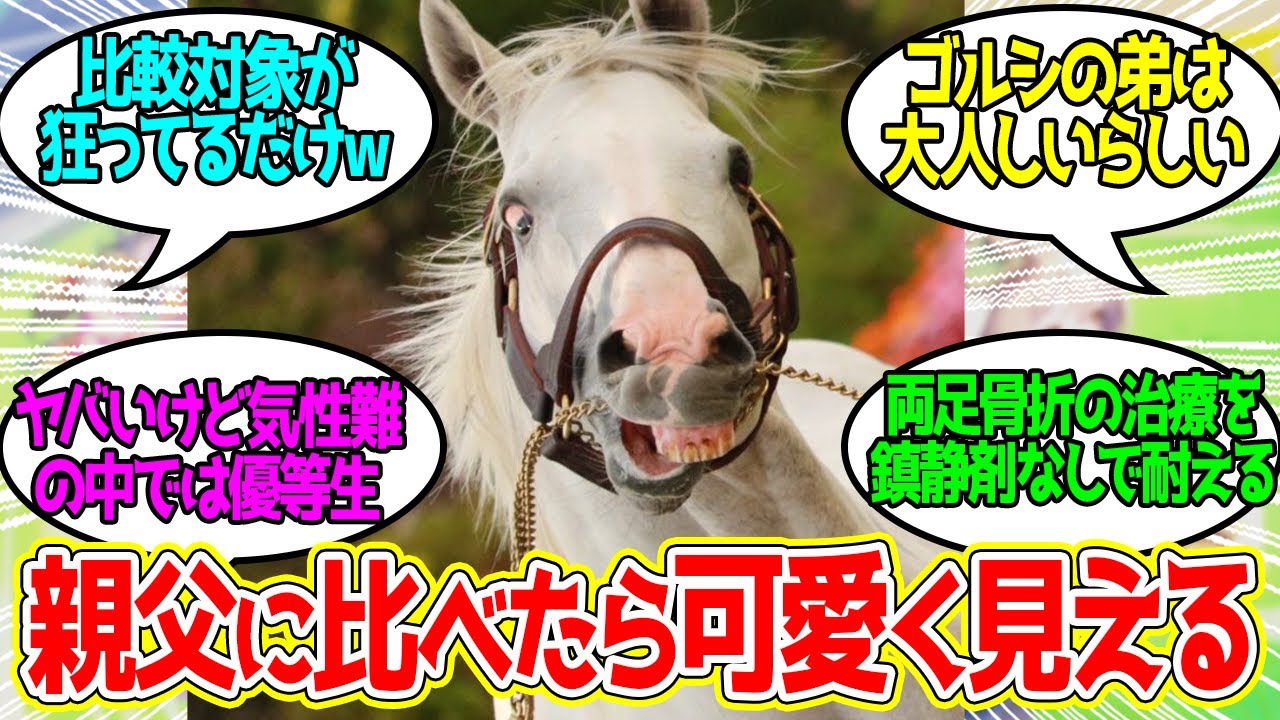競馬ファン「ゴルシがやべえって思ていたけど・・」に対するみんなの反応！【競馬 の反応集】