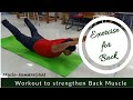 Exercise for Back , Back workout