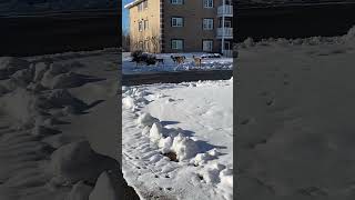 IMG 3469