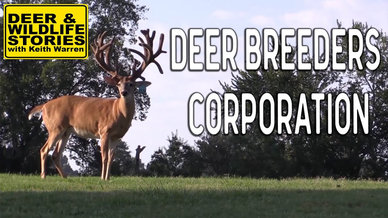 Deer Breeders Corporation Deer & Wildlife Stories Deer Farming